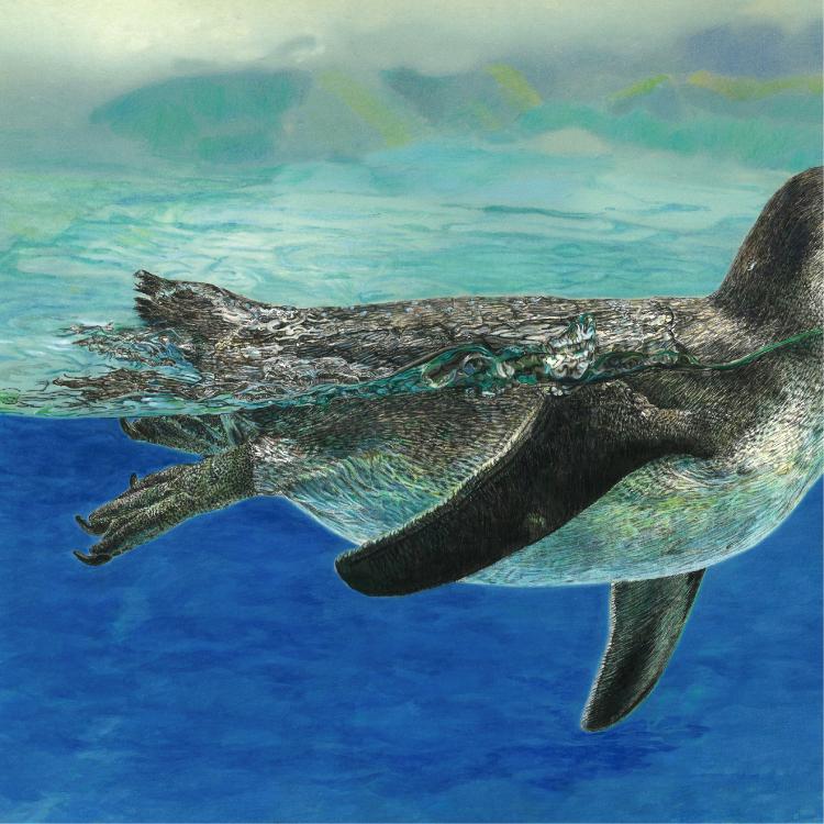 はじめまして｜こどもペンギンとアヒルちゃん｜A3（アクリル・高品質紙） | 5枚目