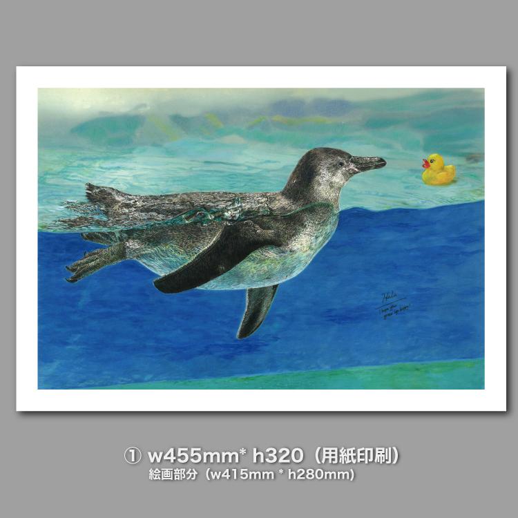 はじめまして｜こどもペンギンとアヒルちゃん｜A3（アクリル・高品質紙） | 6枚目