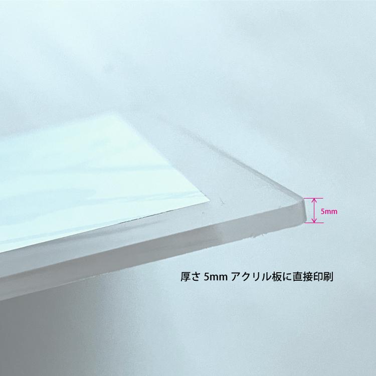 はじめまして｜こどもペンギンとアヒルちゃん｜A3（アクリル・高品質紙） | 8枚目