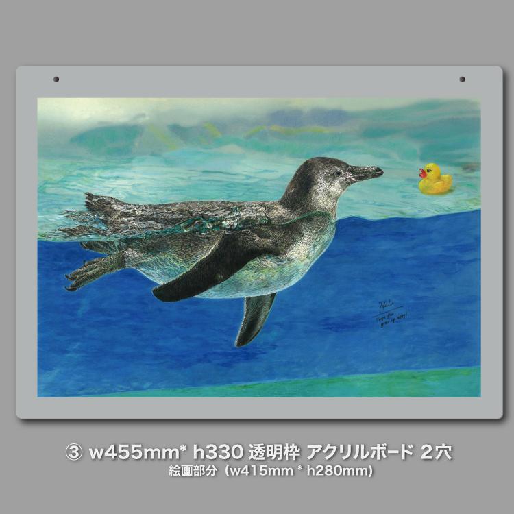 はじめまして｜こどもペンギンとアヒルちゃん｜A3（アクリル・高品質紙） | 9枚目