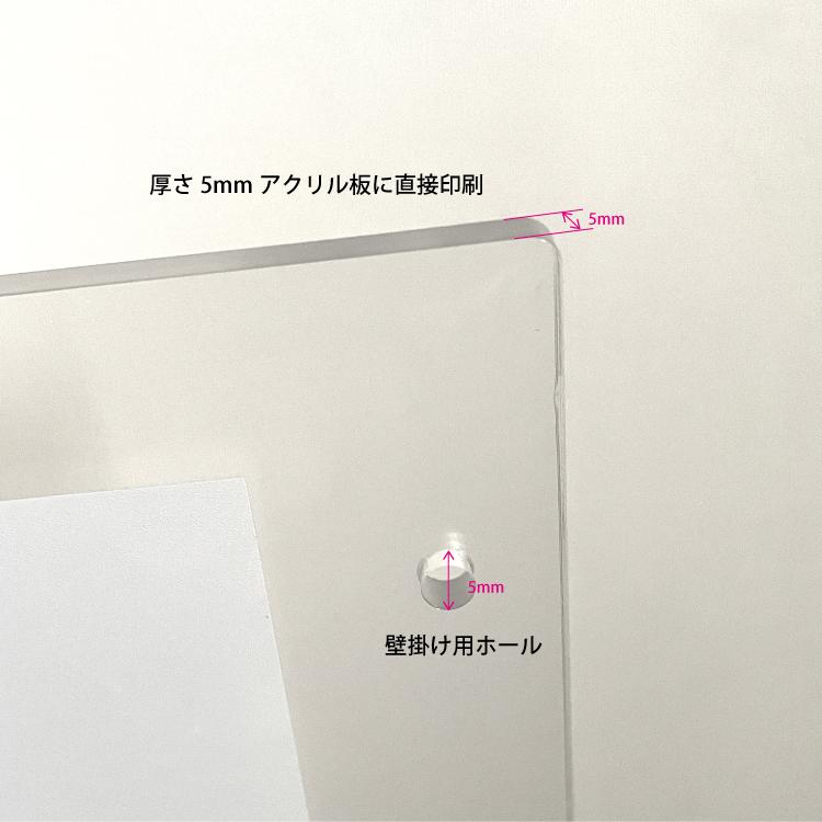 ハクセキレイ｜どっち行く？｜B4（アクリル・高品質紙） | 10枚目