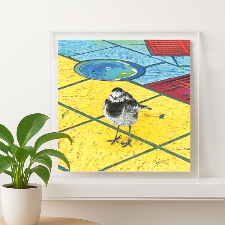 ハクセキレイ｜もっと遊ぼう！｜B4（アクリル・高品質紙） | 4枚目