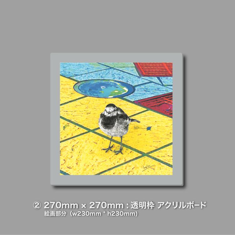 ハクセキレイ｜もっと遊ぼう！｜B4（アクリル・高品質紙） | 7枚目