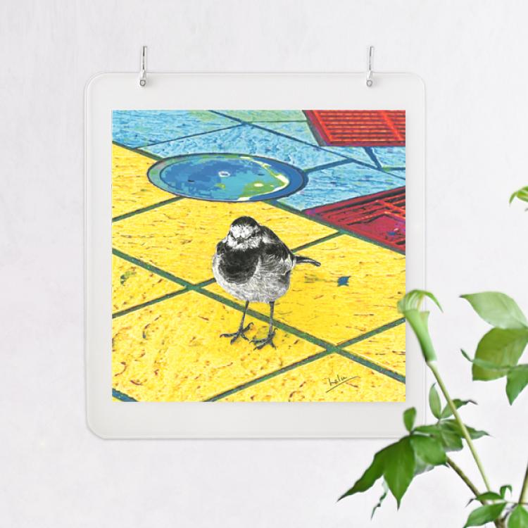 ハクセキレイ｜もっと遊ぼう！｜B4（アクリル・高品質紙） | 10枚目