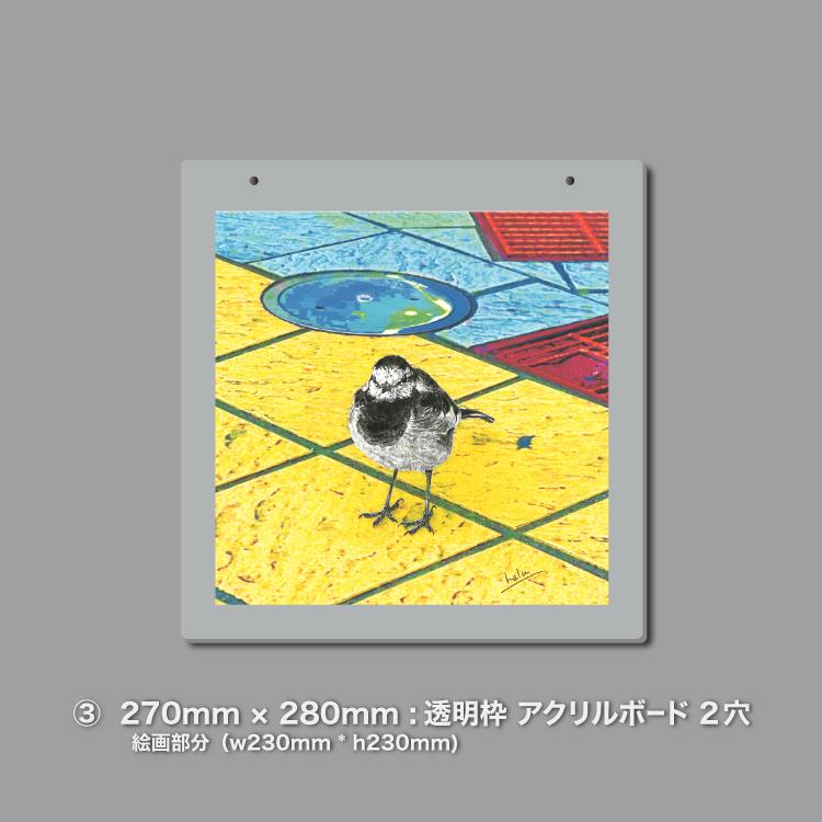 ハクセキレイ｜もっと遊ぼう！｜B4（アクリル・高品質紙） | 8枚目