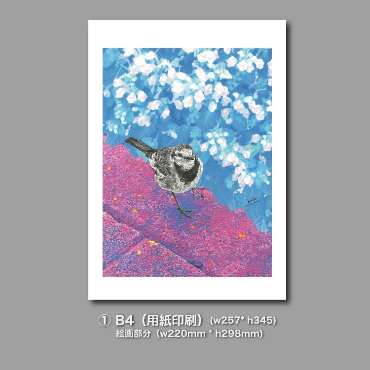 ハクセキレイ｜いっしょにお散歩｜B4（アクリル・高品質紙） | 6枚目