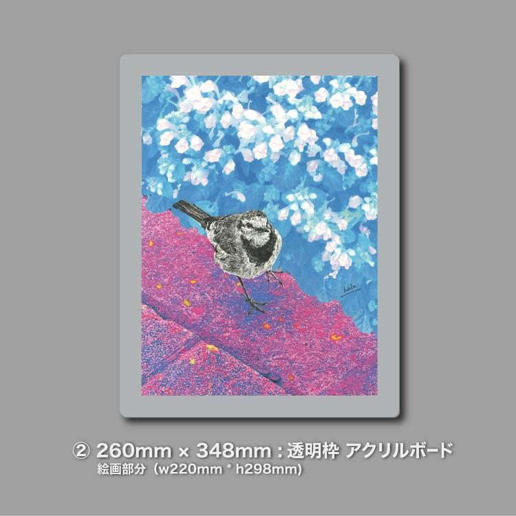 ハクセキレイ｜いっしょにお散歩｜B4（アクリル・高品質紙） | 7枚目