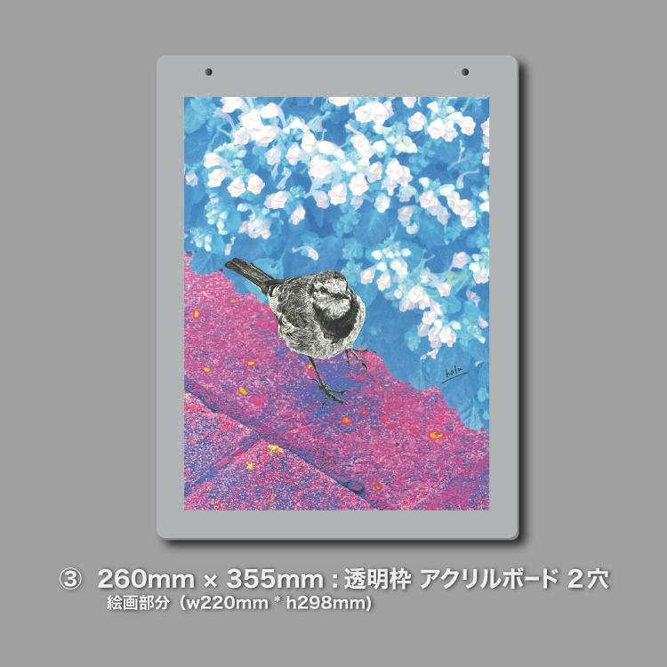 ハクセキレイ｜いっしょにお散歩｜B4（アクリル・高品質紙） | 9枚目